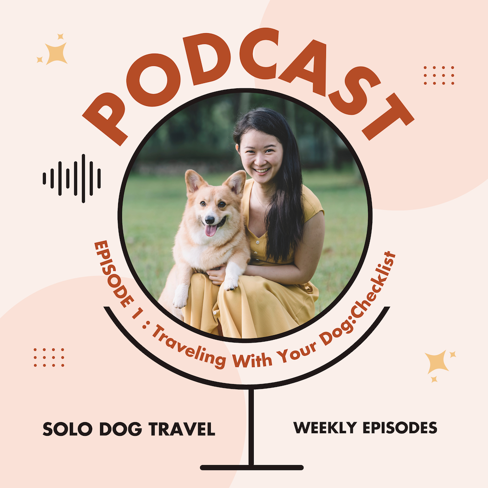 Solo Female and Dog Explorer